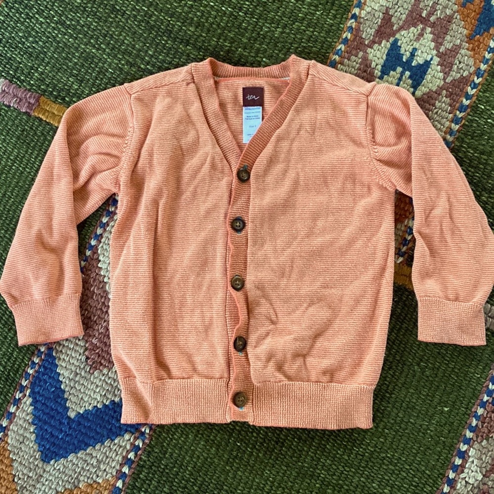 Orange striped Tea Collection Cardigan.